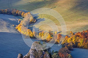 Trees in the valley in autumn colors