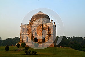 Trees with various kind of leaves in Lodhi Garden in Delhi, India