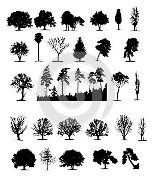 Trees (vector)