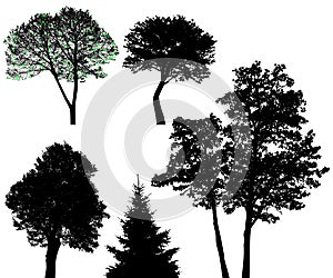 Trees - vector set