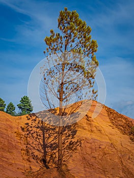 Trees and vegetation covering the red sands. Abstract Rustler canyon moher cliffs landscape. Provencal Colorado