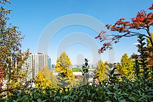 Trees and view Seoul city from in Namsan Park