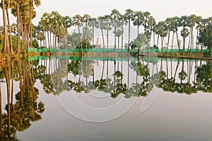 River reflection photo
