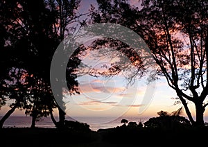 Trees and Waimanalo Beach at Dawn