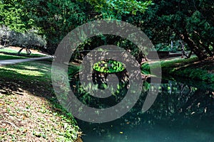 Trees and water at the English Garden in Caserta Royal Palace, Italy