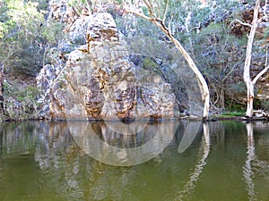 Trees water reflection