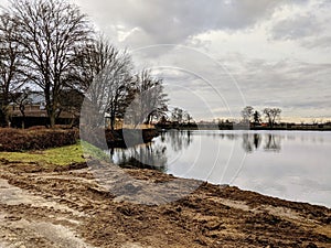 Trees at the wateredge of the lake