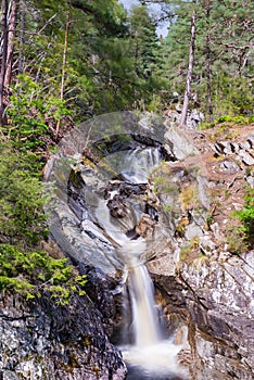 Trees and Waterfall Falls of Bruar Scotland