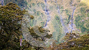 Trees And Waterfalls Background New Zealand