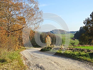 Trees, way and tractor working in field, Lithuania