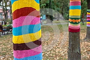 Trees wearing colorful knitted scarves in autumn park. Care about nature and environment concept