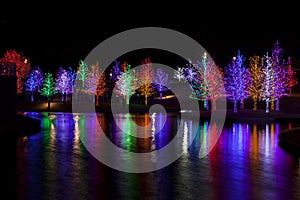 Trees wrapped in LED lights for Christmas