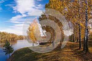 Trees with yellow leaves on the hillside by the river against a blue sky on a sunny day. Autumn landscape