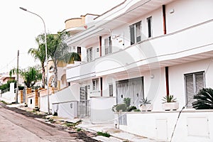 Treesin a street in the town of salve in puglia italy