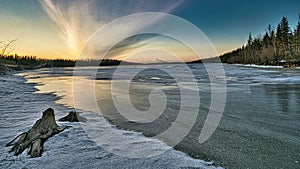 Treestumps Sunset  an a frozen mildred lake north of Fort McMurray