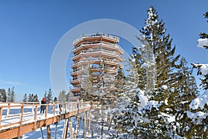 Prechádzka korunami stromov Bachledka v Bachledovej doline na Slovensku.