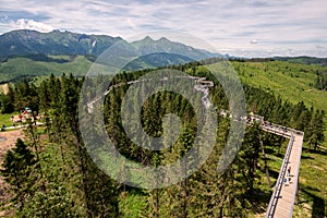 The treetop walk Bachledka in High Tatra mountains