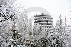 Prechádzka korunami stromov v zime na Slovensku
