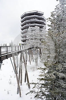 Treetop walk in wintertime in Slovakia