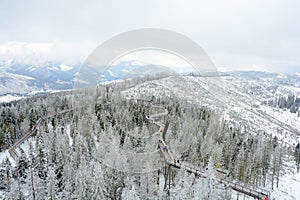 Treetop walk in wintertime in Slovakia