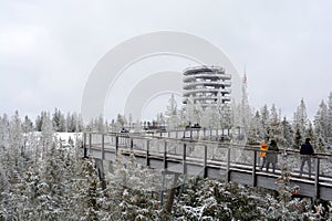 Procházka korunami stromů v zimě na Slovensku