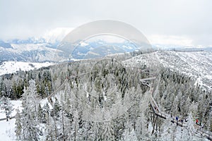 Treetop walk in wintertime in Slovakia