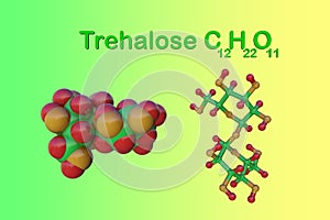 Trehalose sugar molecule. Also known as tremalose or mycose. It is a disaccharide consisting of two molecules of glucose