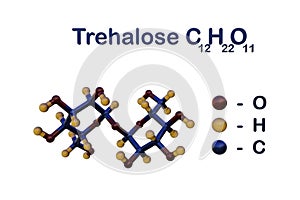 Trehalose sugar molecule. Also known as tremalose or mycose. It is a disaccharide consisting of two molecules of glucose