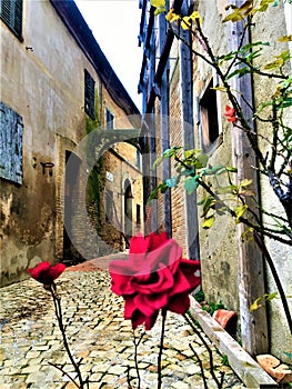 Treia town in the province of Macerata, Marche region, Italy. History, time and tourism