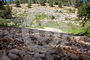 Trek in Israel