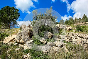 Trek in Israel