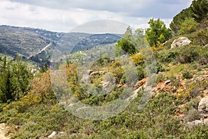 Trek in Israel