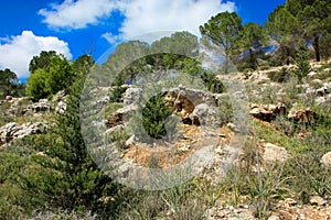 Trek in Israel