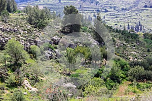 Trek in Israel