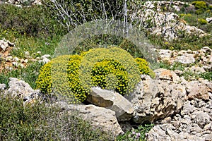 Trek in Israel