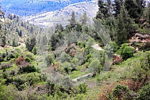 Trek in Israel