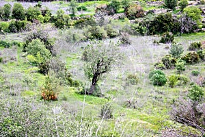 Trek in Israel