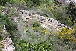 Trek in Israel