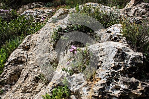 Trek in Israel