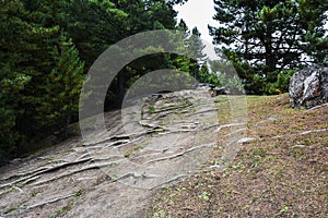 Trek to Beyal camp from Fairy Meadows