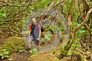 Trek in wild forest in Anaga mountains, Tenerife photo