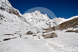 Trekker in Annapurna Sanctuary