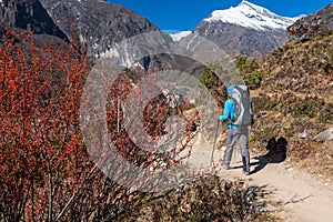 Trekker approaching Renjo La pass on a way to Everest Base camp