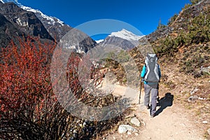 Trekker approaching Renjo La pass on a way to Everest Base camp