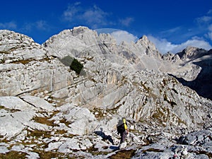 Trekker with a backpack hiking in rocky mountains