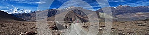 Trekker with backpack on the road in Lower Mustang