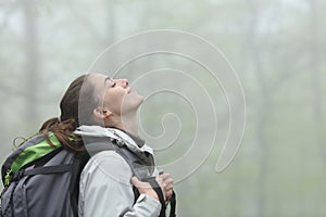 Trekker breathing fresh air in a foggy forest