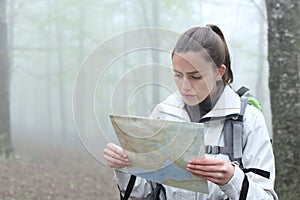 Trekker checking map in a forest