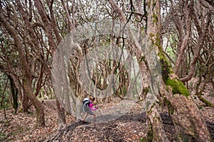 Trekker in the forest on the way to Annapurna base camp, Nepal