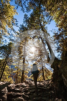 Trekker in lower Himalayas